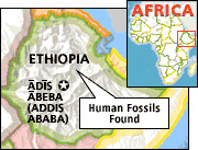 Рисунок взят с сайтаhttp://news.nationalgeographic.com/news/2001/07/0712_ethiopianbones.html