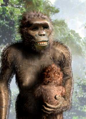 Рисунок взят с сайтаhttp://www.archaeologyinfo.com/australopithecusafarensis.htm